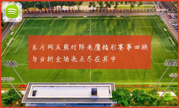 东方网灰熊对阵老鹰精彩赛事回顾与分析全场亮点尽在其中