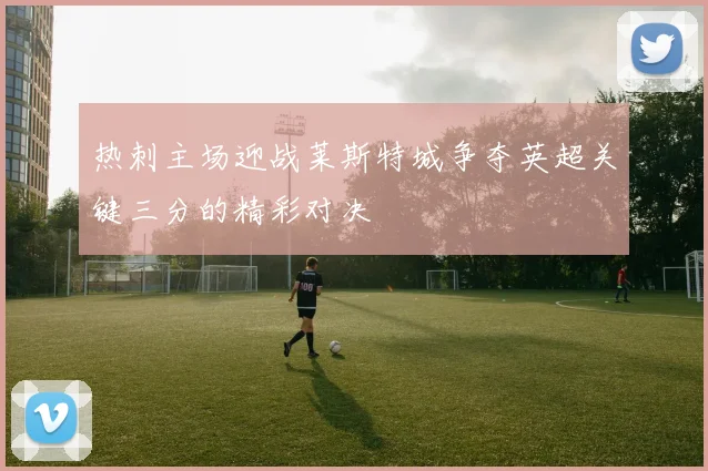 热刺主场迎战莱斯特城争夺英超关键三分的精彩对决