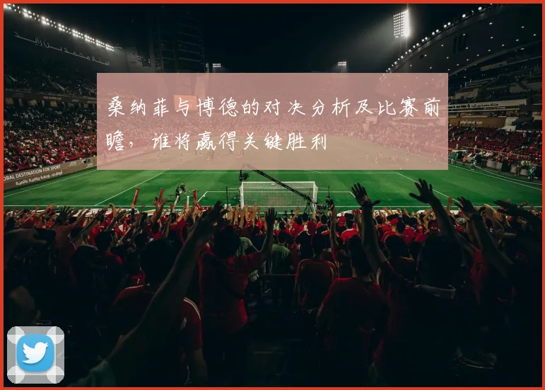 桑纳菲与博德的对决分析及比赛前瞻，谁将赢得关键胜利